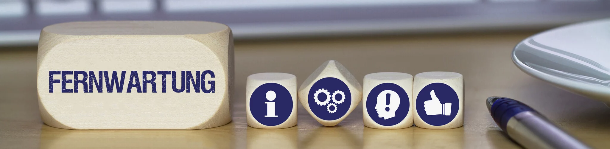 Fernwartung